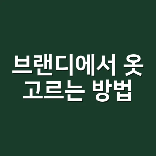 브랜디에서 옷 고르는 방법, 실패 줄이려면 이렇게 보면 됩니다 - 요약