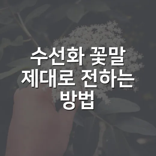 수선화 꽃말 제대로 전하는 방법, 선물할 때 헷갈리지 않게 - 요약