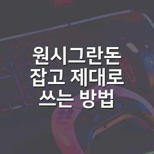 원시그란돈 잡고 제대로 쓰는 방법, 초보자도 헷갈리지 않게 - 요약