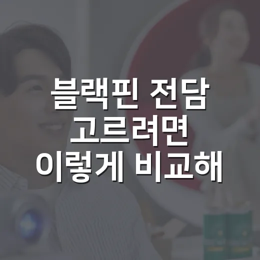 블랙핀 전담 고르려면 이렇게 비교해 보세요 - 요약