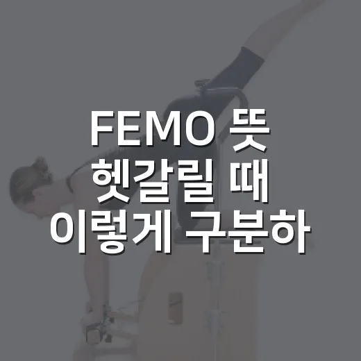 FEMO 뜻 헷갈릴 때 이렇게 구분하는 방법 - 요약