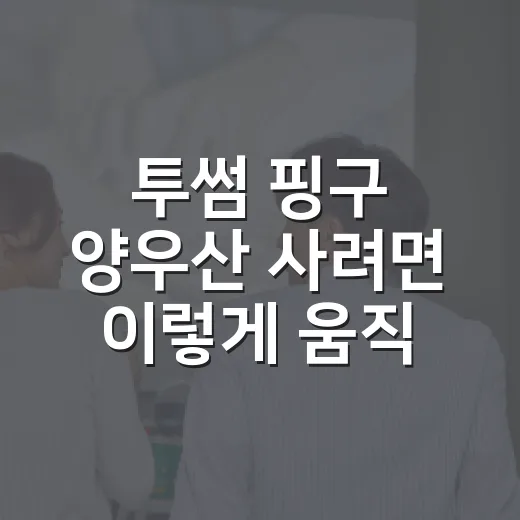 투썸 핑구 양우산 사려면 이렇게 움직이면 좋아요 - 요약