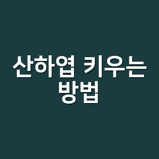 산하엽 키우는 방법: 투명한 꽃잎이 생기는 환경부터 관리까지 - 요약