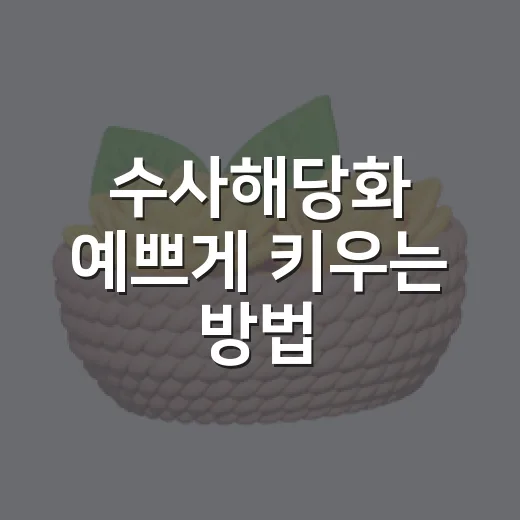 수사해당화 예쁘게 키우는 방법, 처음 심는 사람도 헷갈리지 않게 - 요약