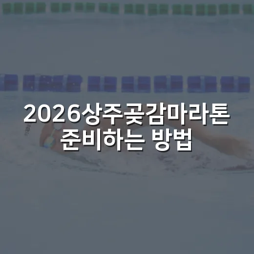 2026상주곶감마라톤 준비하는 방법, 접수부터 코스 선택까지 이렇게 챙기면 됩니다 - 요약