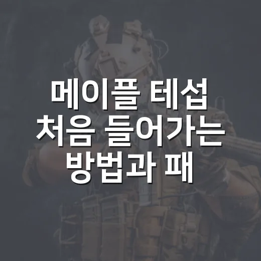 메이플 테섭 처음 들어가는 방법과 패치 내용 확인하는 법 - 요약