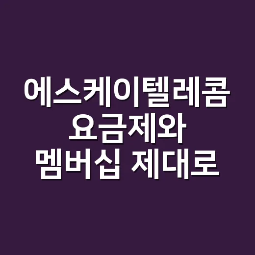 에스케이텔레콤 요금제와 멤버십 제대로 고르는 방법 - 요약