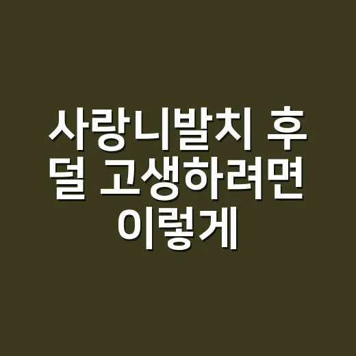 사랑니발치 후 덜 고생하려면 이렇게 준비하세요 - 요약