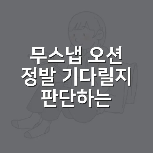 무스냅 오션 정발 기다릴지 판단하는 방법 - 요약