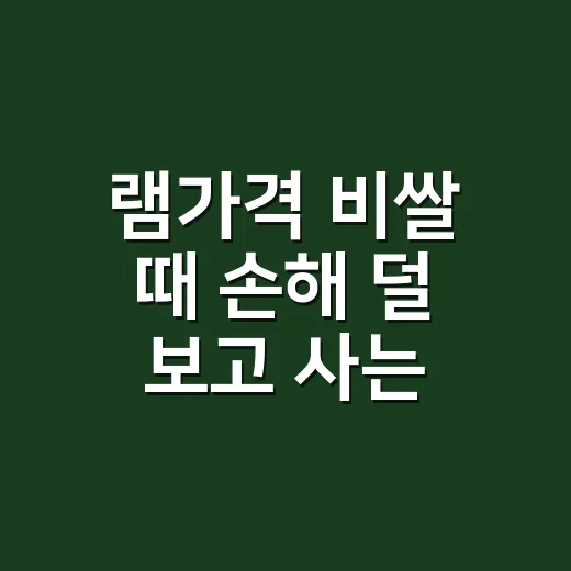 램가격 비쌀 때 손해 덜 보고 사는 방법 - 요약