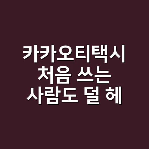 카카오티택시 처음 …