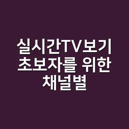 실시간TV보기 초보자를 위한 채널별 이용 방법 - 요약