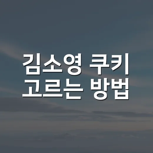 김소영 쿠키 고르는 방법, 처음 사려면 이렇게 보면 편해요 - 요약