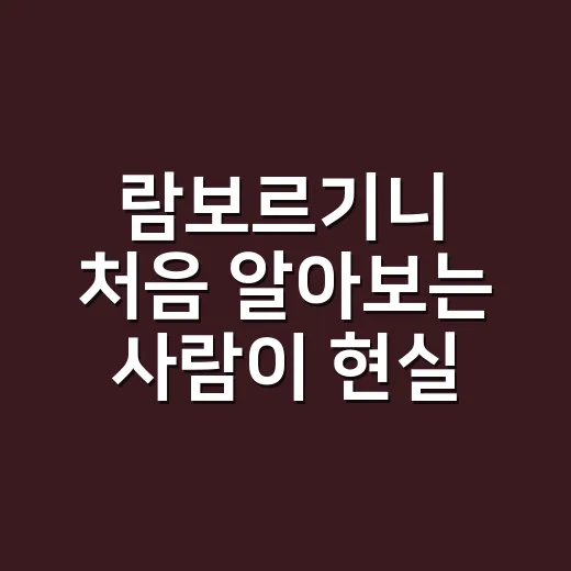 람보르기니 처음 알아보는 사람이 현실적으로 접근하는 방법 - 요약