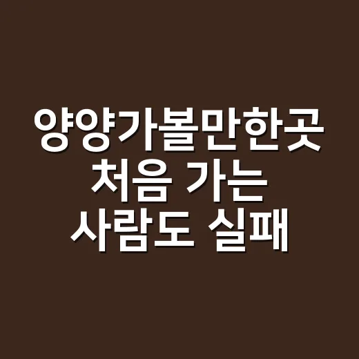 양양가볼만한곳 처음 가는 사람도 실패 줄이는 여행 코스 짜는 방법 - 요약
