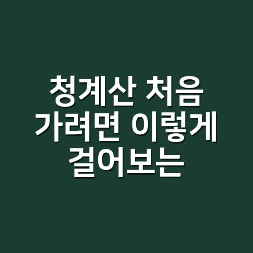 청계산 처음 가려면 이렇게 걸어보는 방법 - 요약