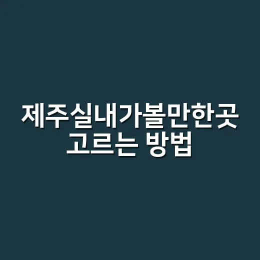 제주실내가볼만한곳 고르는 방법, 비 오는 날 동선까지 이렇게 잡기 - 요약