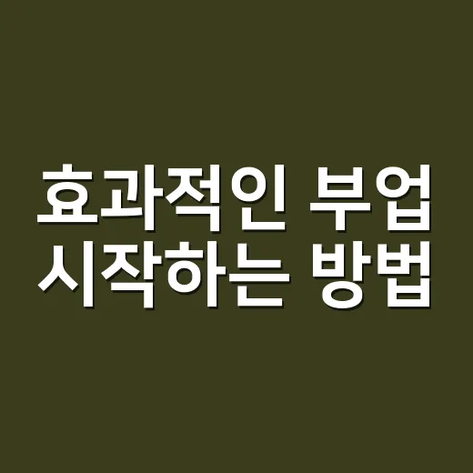 효과적인 부업 시작하는 방법 - 요약