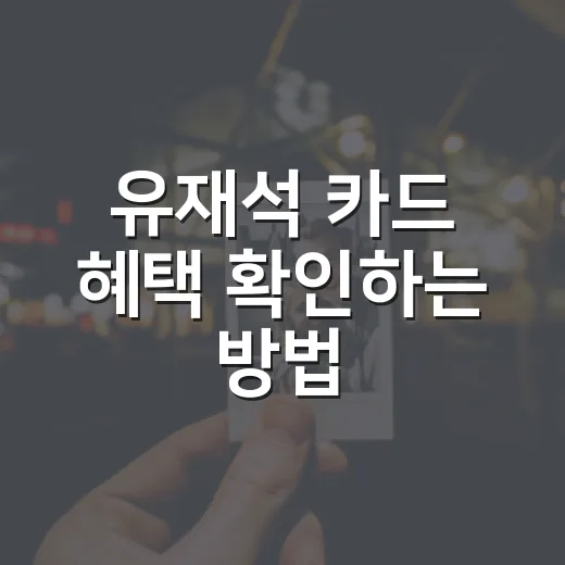유재석 카드 혜택 확인하는 방법, 발급 전에 보면 좋은 포인트 - 요약