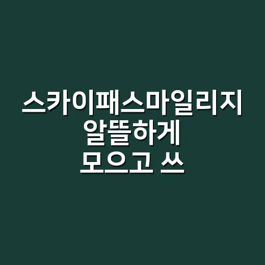 스카이패스마일리지 알뜰하게 모으고 쓰는 방법 - 요약