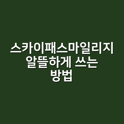 스카이패스마일리지 알뜰하게 쓰는 방법, 가족 합산부터 항공권 예약까지 - 요약