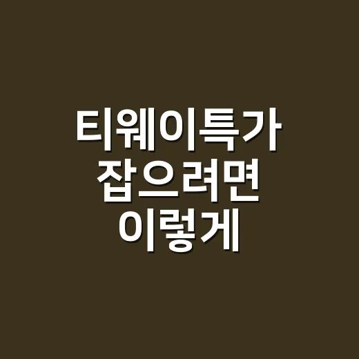 티웨이특가 잡으려면 이렇게 준비하는 방법 - 요약