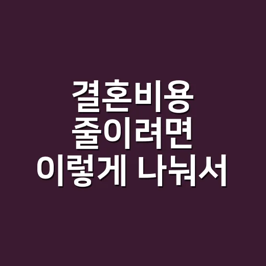 결혼비용 줄이려면 이렇게 나눠서 준비하세요 - 요약