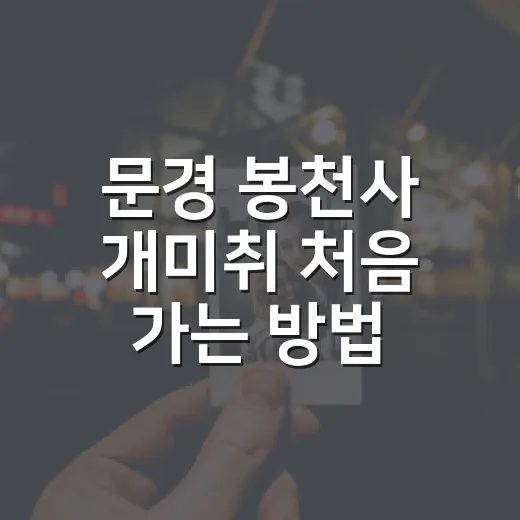 문경 봉천사 개미취 처음 가는 방법, 개화 시기부터 주차까지 - 요약