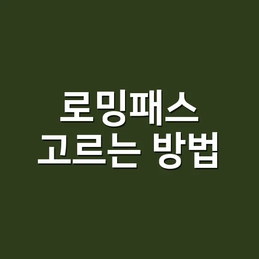 로밍패스 고르는 방법, 해외여행 데이터 요금 덜 헷갈리게 선택하려면 이렇게 - 요약