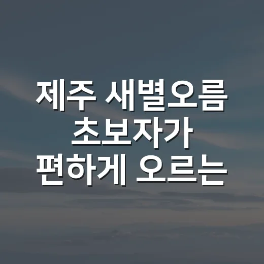 제주 새별오름 초보자가 편하게 오르는 방법 - 요약