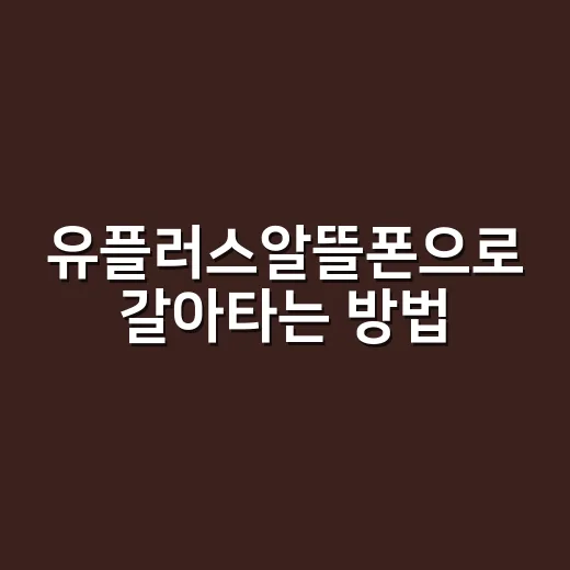 유플러스알뜰폰으로 갈아타는 방법, 초보자가 먼저 확인할 것 - 요약