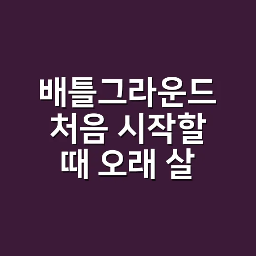 배틀그라운드 처음 시작할 때 오래 살아남는 방법 - 요약