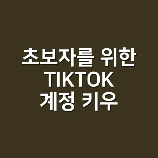 초보자를 위한 TIKTOK 계정 키우는 방법 - 요약