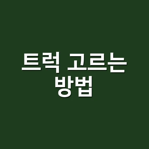 트럭 고르는 방법, 처음 사는 사람도 덜 헤매려면 이렇게 - 요약