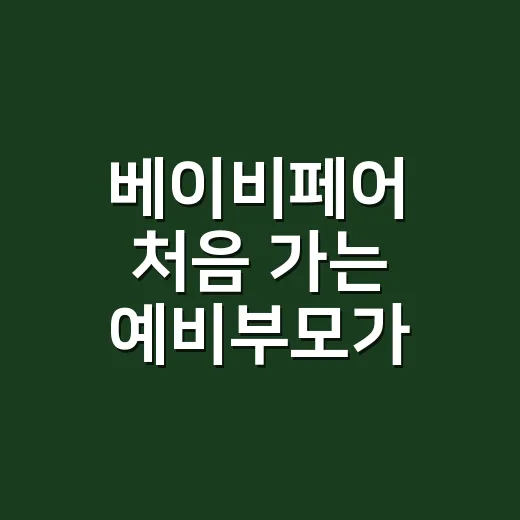 베이비페어 처음 가는 예비부모가 실패 없이 준비하는 방법 - 요약