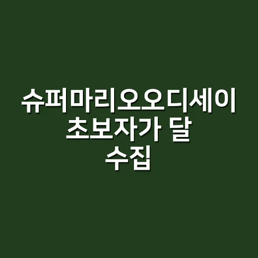 슈퍼마리오오디세이 초보자가 달 수집 쉽게 하는 방법 - 요약