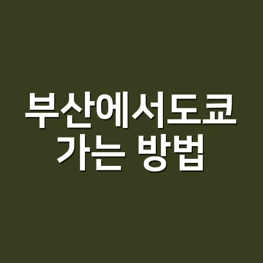 부산에서도쿄 가는 방법, 김해공항 출발부터 시내 이동까지 - 요약