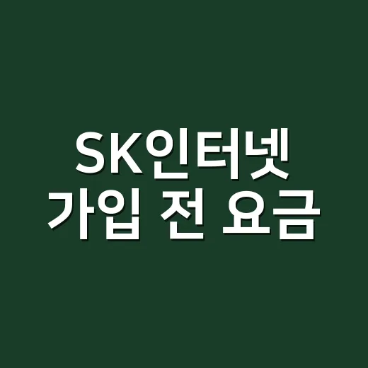 SK인터넷 가입 전 요금·속도·결합 할인 고르는 방법 - 요약