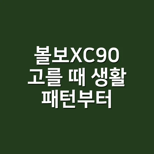 볼보XC90 고를 때 생활 패턴부터 따져보는 방법 - 요약