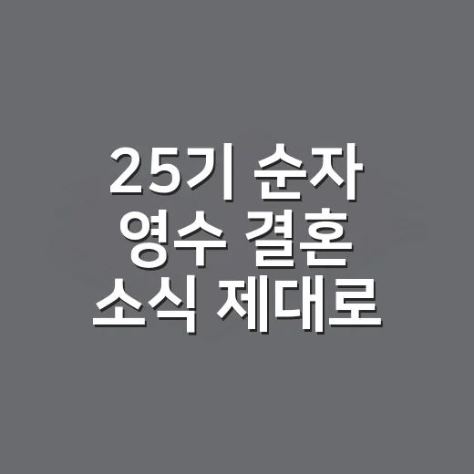 25기 순자 영수 결혼 소식 제대로 확인하는 방법 - 요약