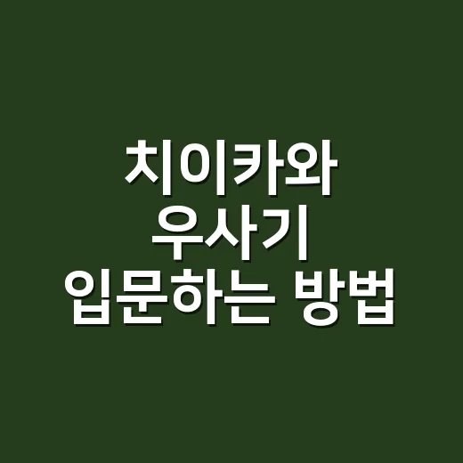 치이카와 우사기 입문하는 방법 - 요약