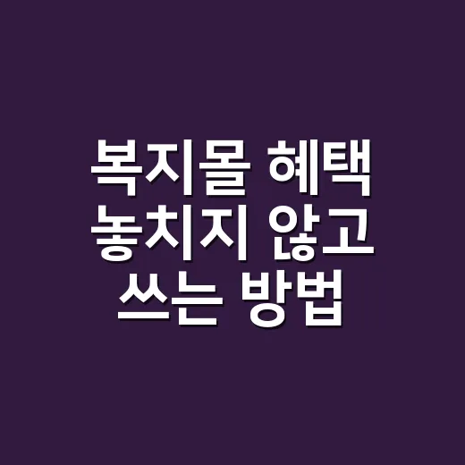 복지몰 혜택 놓치지 않고 쓰는 방법 - 요약