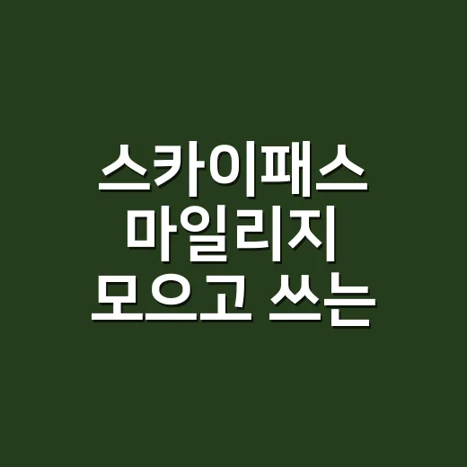 스카이패스 마일리지 모으고 쓰는 방법 - 요약