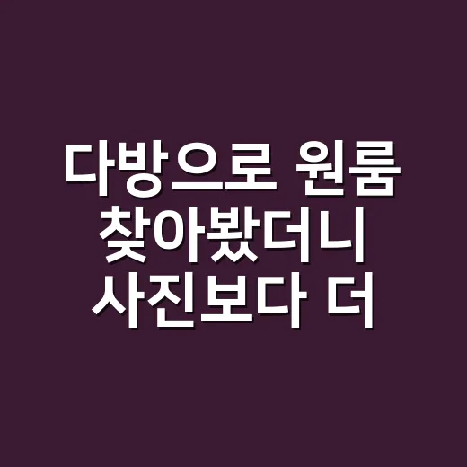 다방으로 원룸 찾아봤더니 사진보다 더 봐야 할 게 많았다 - 요약