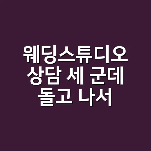웨딩스튜디오 상담 세 군데 돌고 나서야 알게 된 진짜 체크 포인트 - 요약