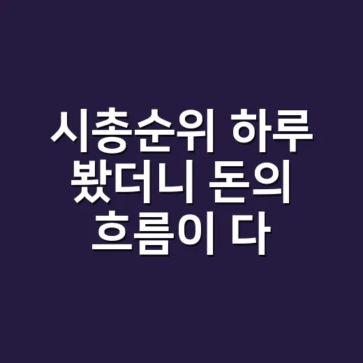 시총순위 하루 봤더니 돈의 흐름이 다르게 보였다 - 요약