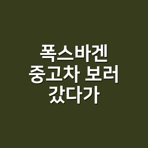 폭스바겐 중고차 보러 갔다가 유지비부터 먼저 따져본 이야기 - 요약