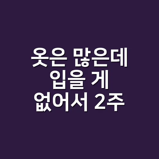 옷은 많은데 입을 게 없어서 2주 동안 패션 루틴을 바꿔봤더니 - 요약