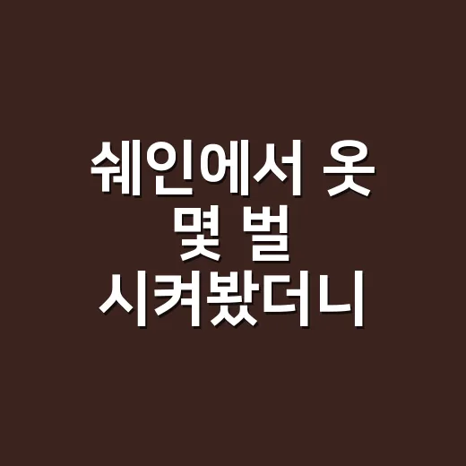쉐인에서 옷 몇 벌 시켜봤더니, 싸다고 막 담으면 안 되겠더라 - 요약