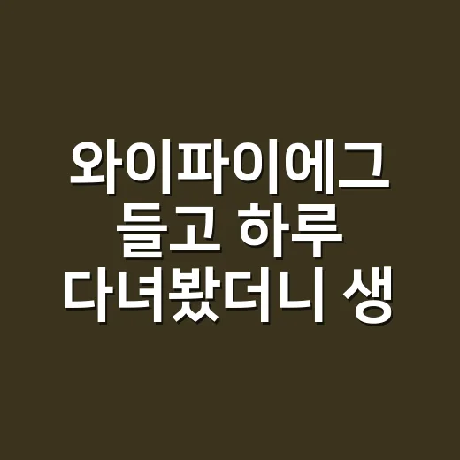 와이파이에그 들고 하루 다녀봤더니 생각보다 신경 쓸 게 많았다 - 요약